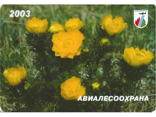 Коллекция календарей